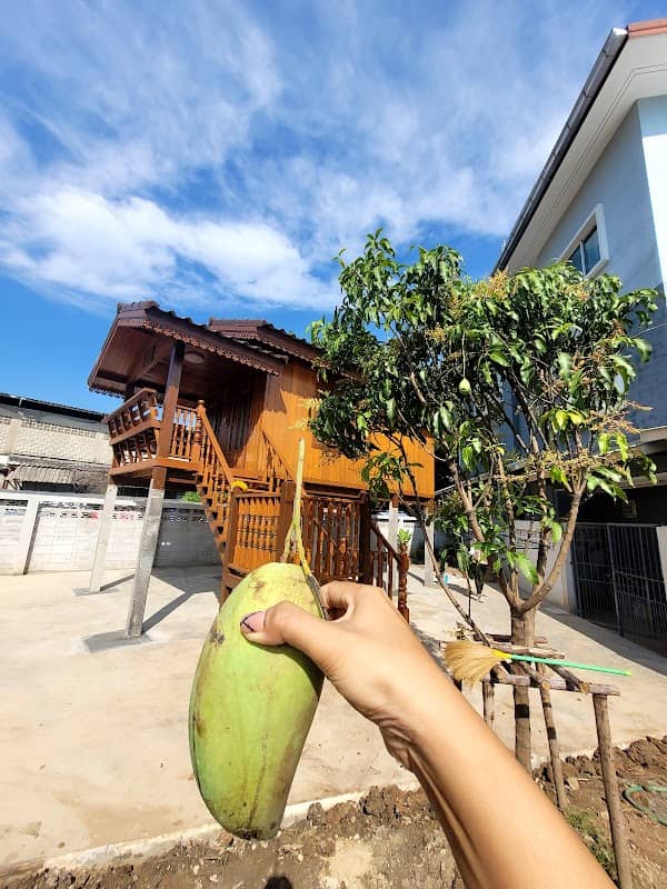 บ้านสวนคุณเม Grandma's may garden - Image 1
