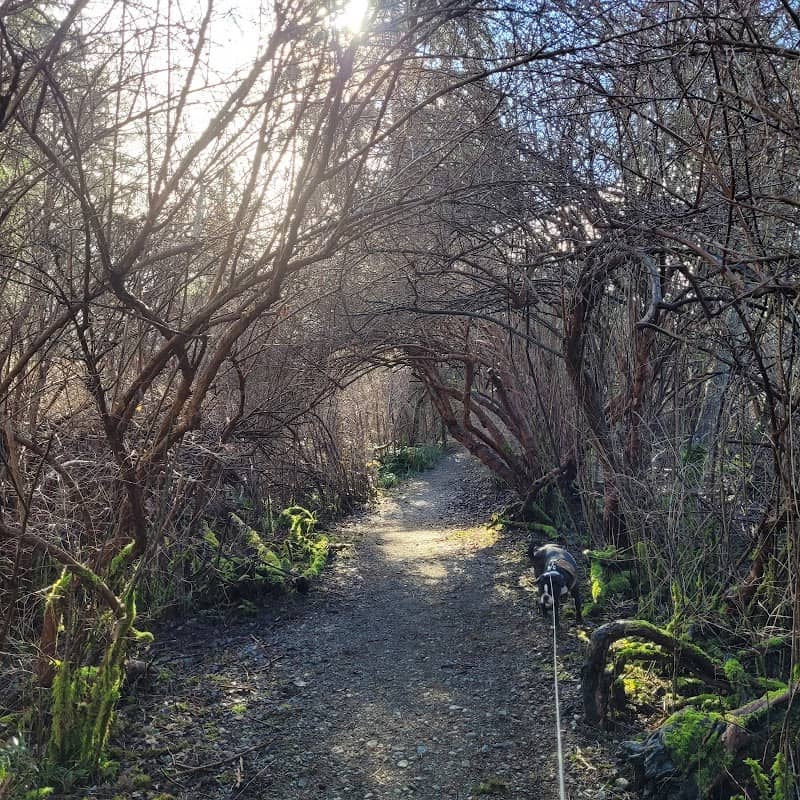 Salish Park - Image 1