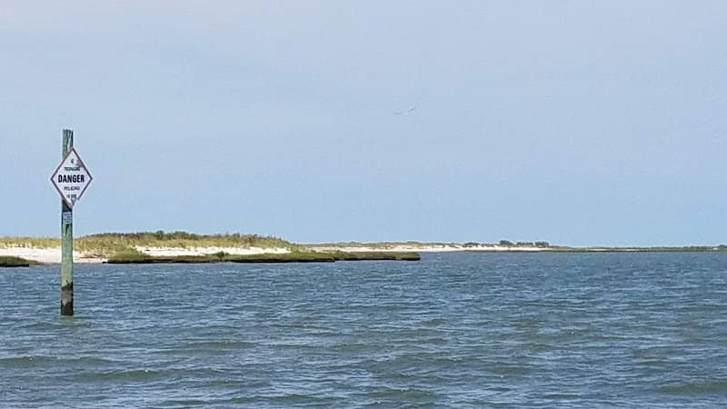 Plum Tree Island National Wildlife Refuge - Image 1