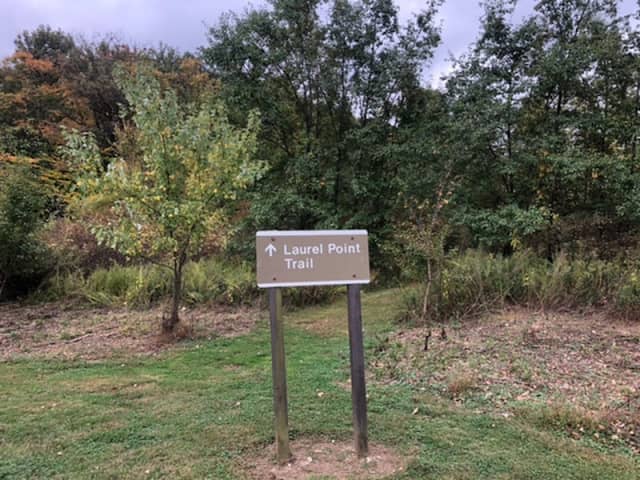 Songbird Trail - Image 1