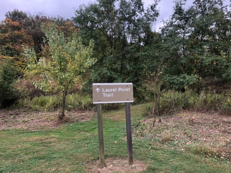 Songbird Trail - Image 1