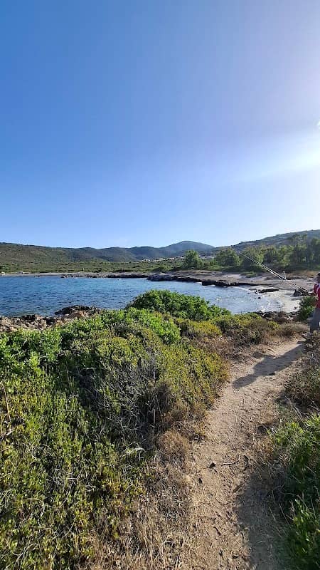 Dog friendly Beach - Image 2