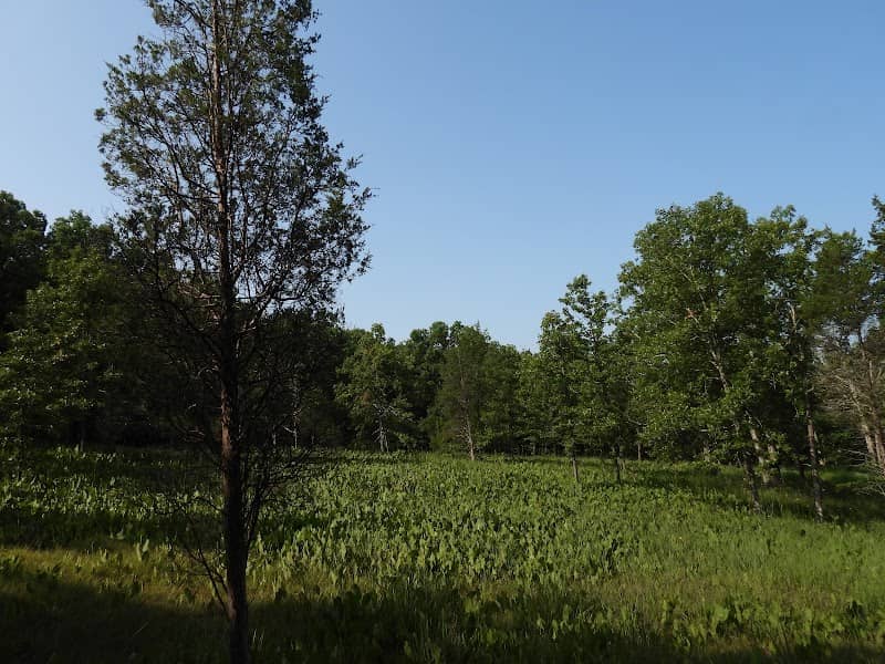 PRAIRIE DOCK TRAIL - Image 1