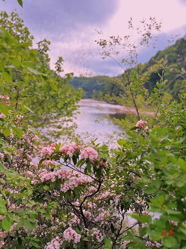 Mason's Branch River Access - Image 2