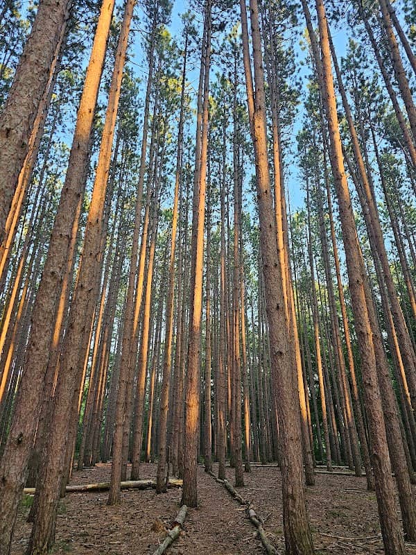 Oak Openings Preserve Metropark - Image 2