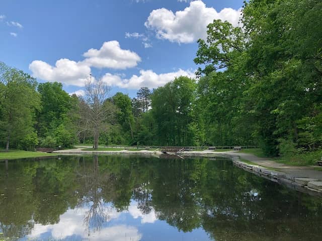 Oak Openings Preserve Metropark - Image 3