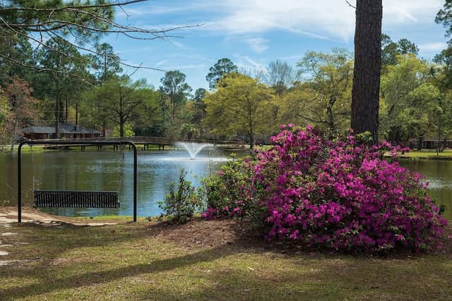 Shelby Park - Image 1