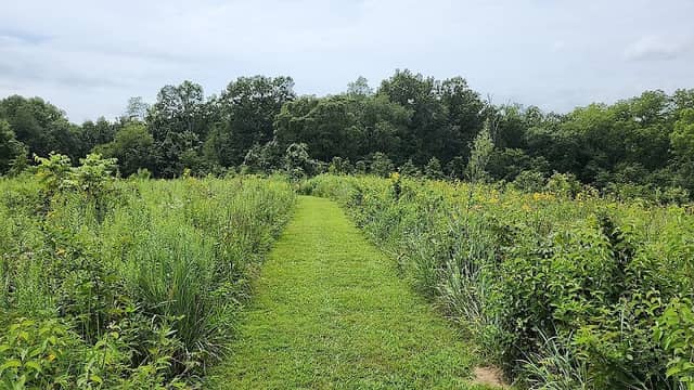 Old Road Trail - Image 1