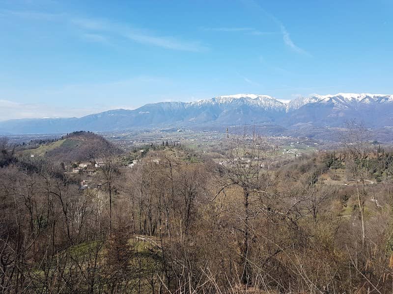 Boscasolo - Image 2