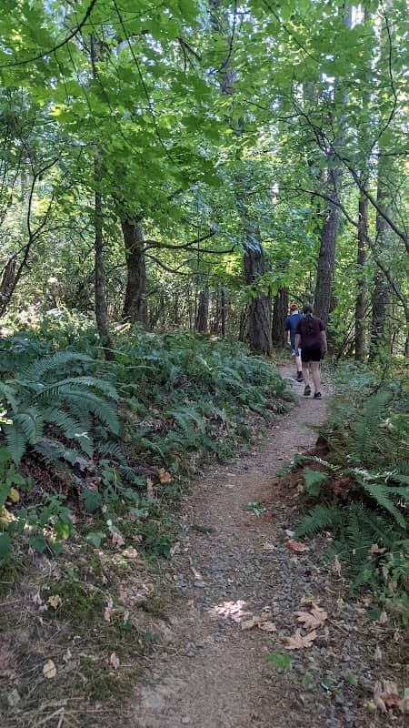 Forest Dell Natural Area - Image 1