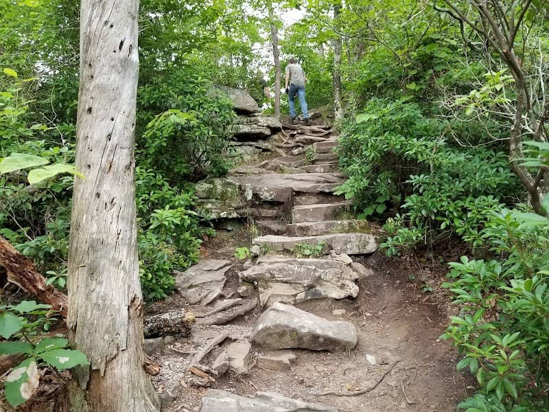 Piney Creek Falls - Image 2