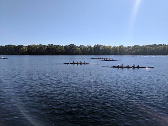 Regatta Festival Field - Image 2