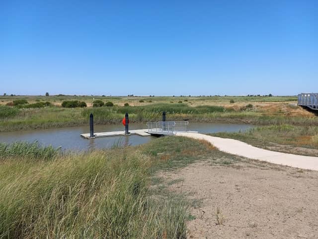 Pacheco Marsh - Image 1