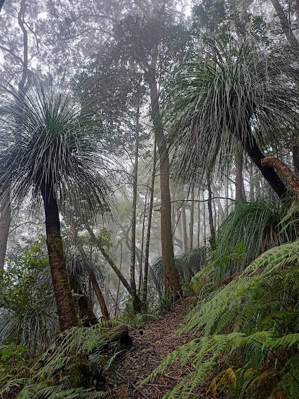 Mount Matheson loop - Image 2