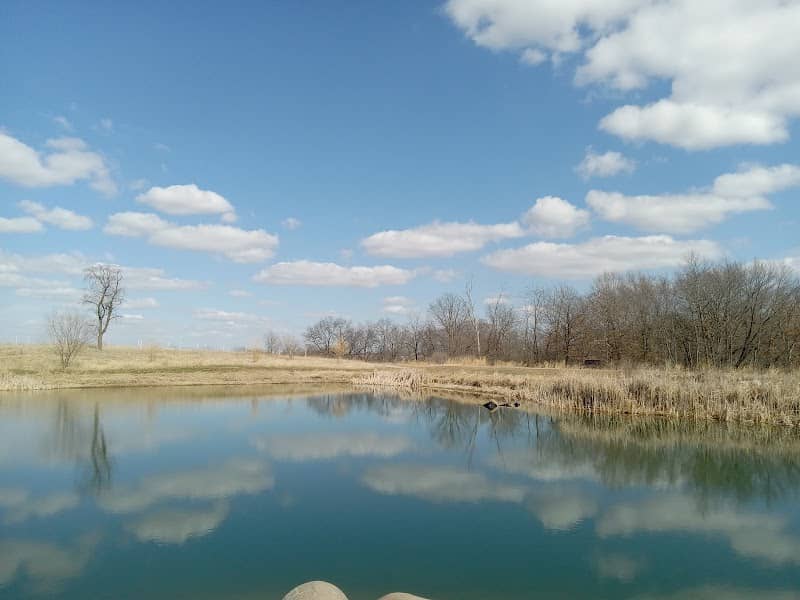 Willow Pond - Image 2
