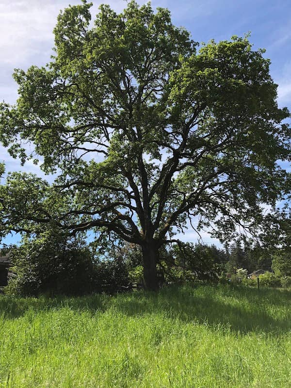 Strawberry Knoll Park - Image 1