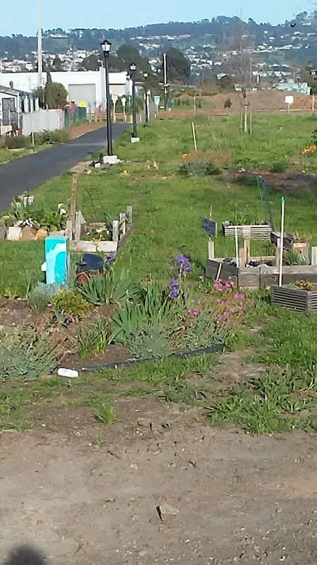 Unity Park - Image 3