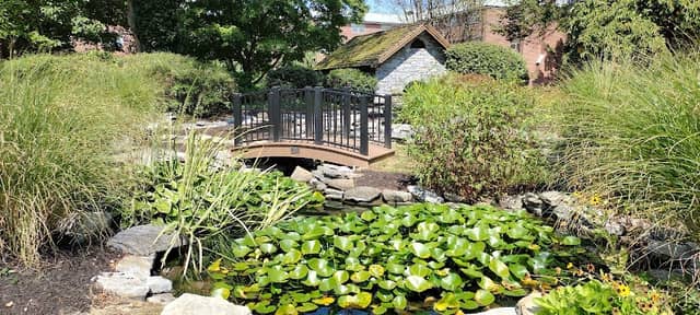 Peace Garden - Image 1