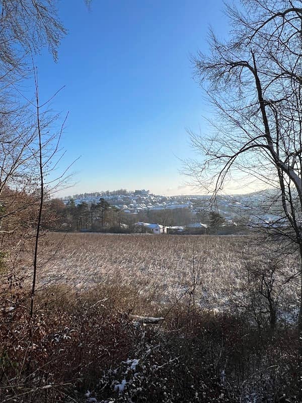 Buchenberg - Image 2