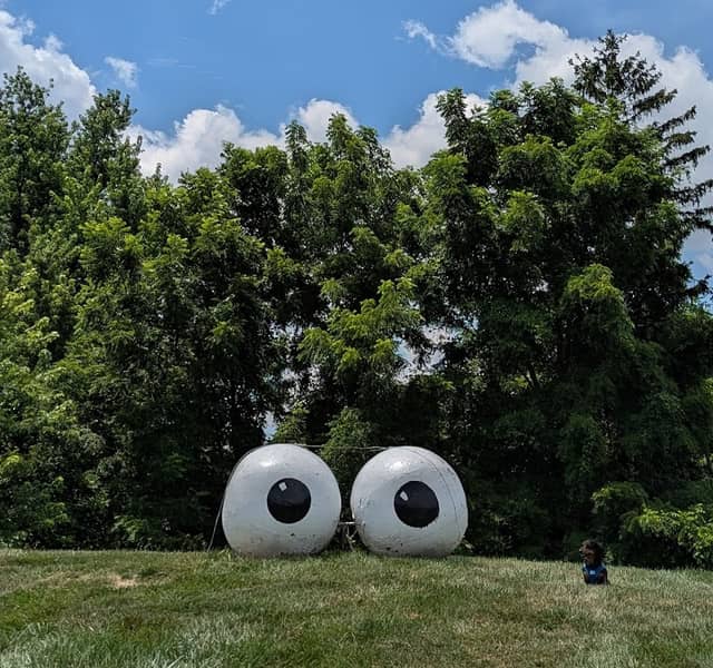 Googly Eyes - Image 1