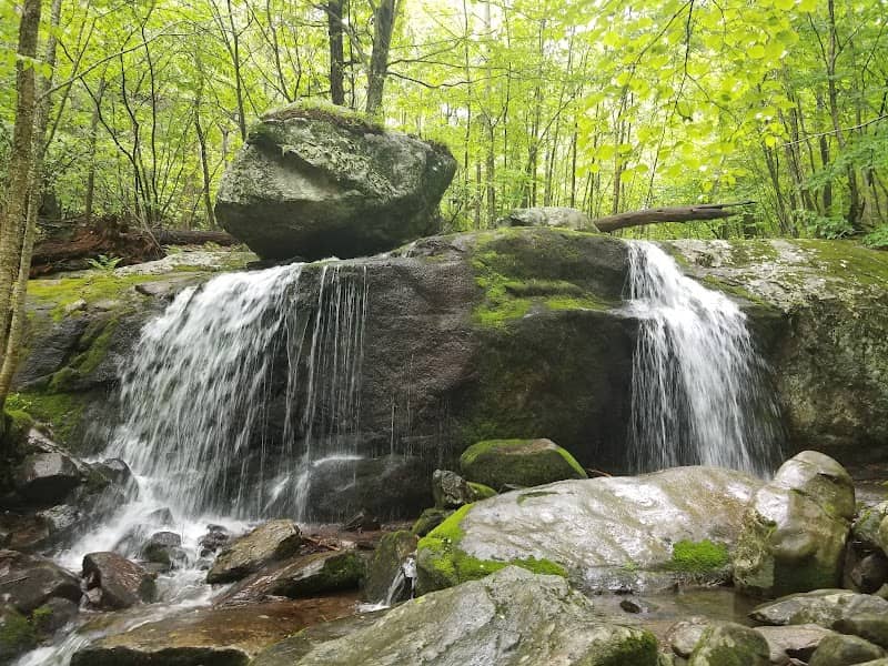 Apple Orchard Falls Trailhead - Image 3