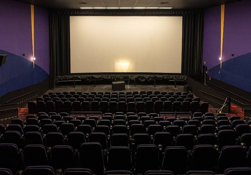 Singh Center for The Arts - Image 2
