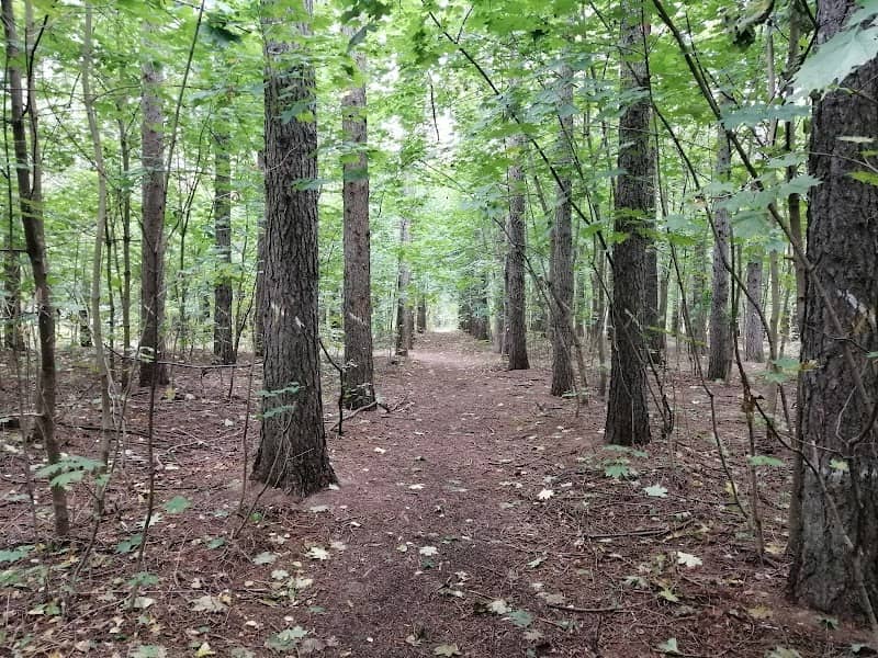 Park VNIILM - Image 1