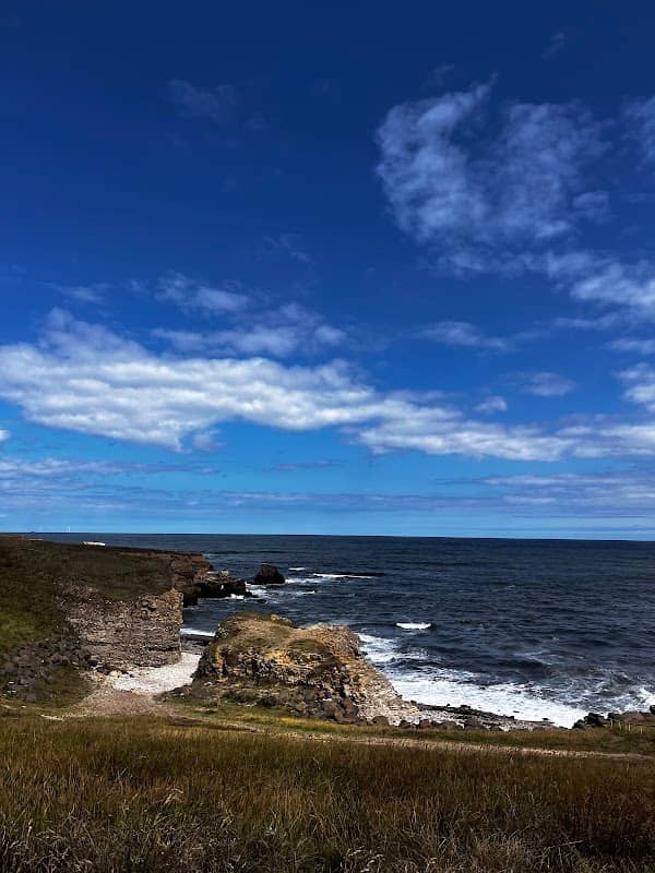 Elephant Rock - Image 2