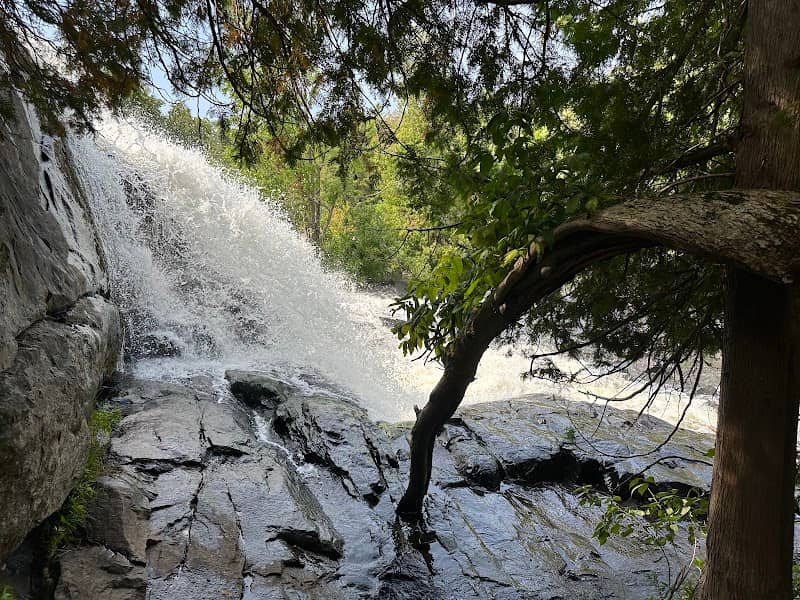 Bond Falls Waterfalls - Image 3