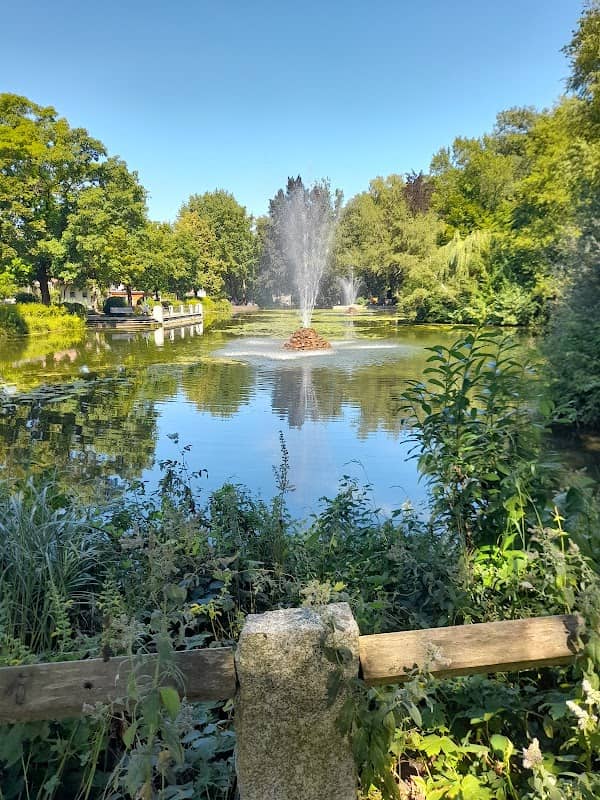 Weiher - Image 2