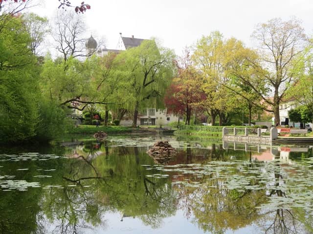 Weiher - Image 1