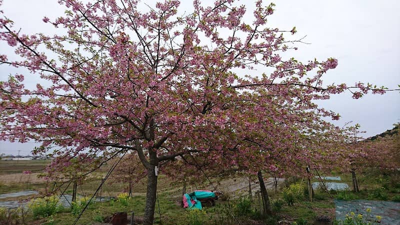 野尻遺跡 - Image 1