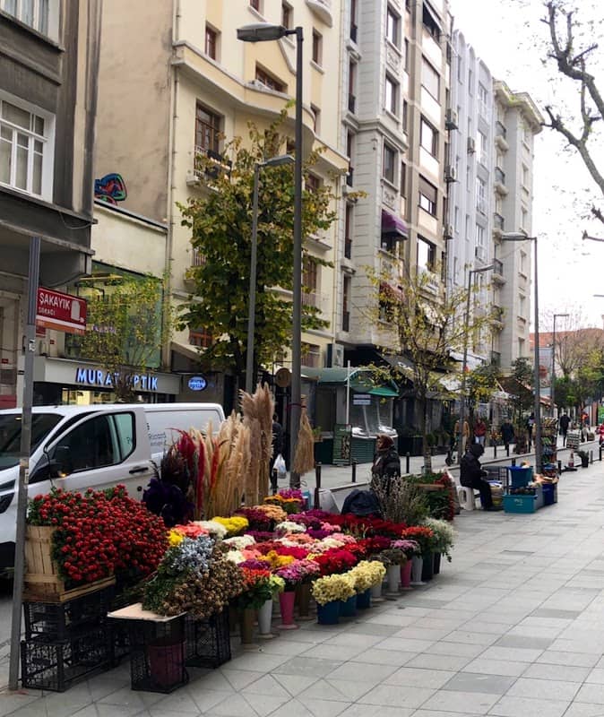 ŞAKAYIK PARKI - Image 1