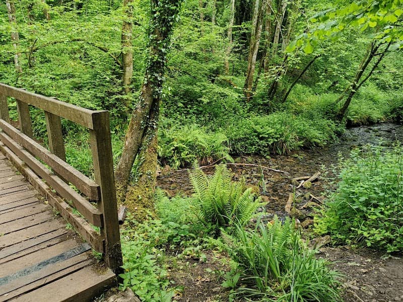Harridge Wood West Nature Reserve - Image 2