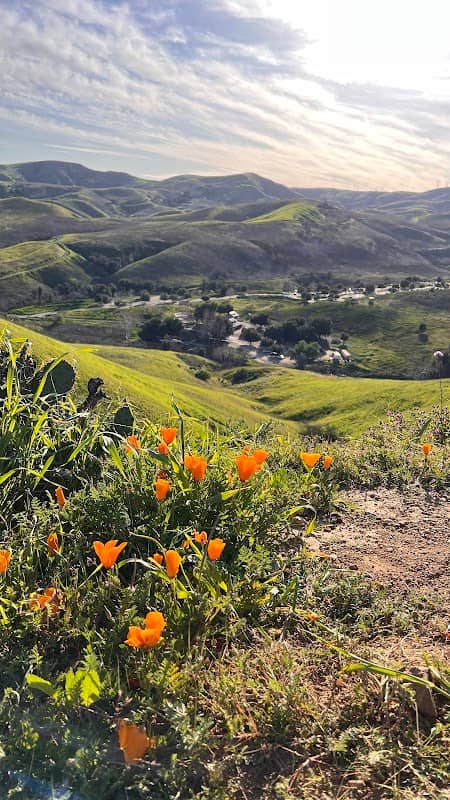 Bane Ridge Trail - Image 1