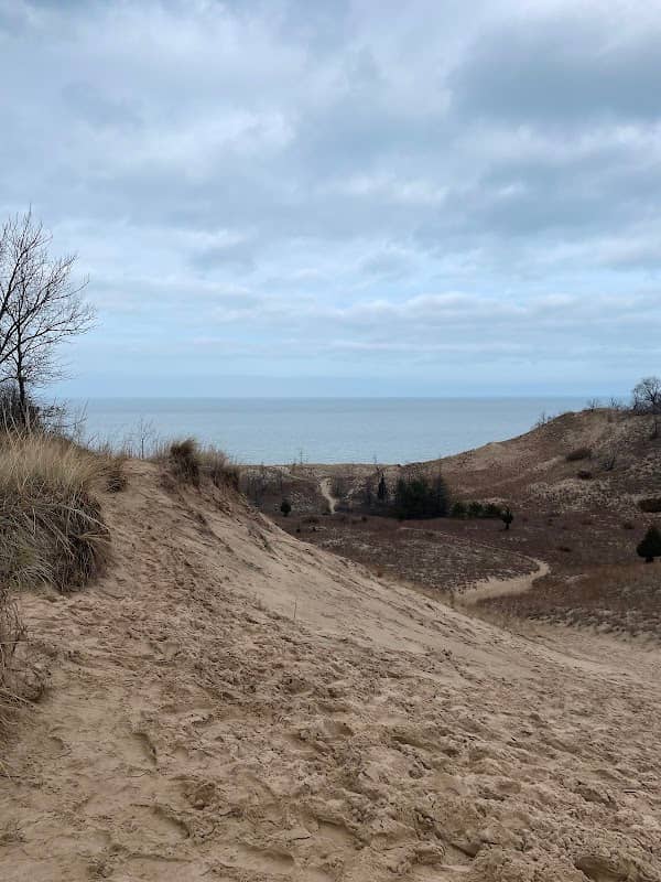 Indiana Dunes State Park Nature Center - Image 3