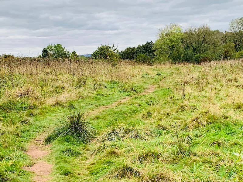 Nant Fawr Meadows - Image 1
