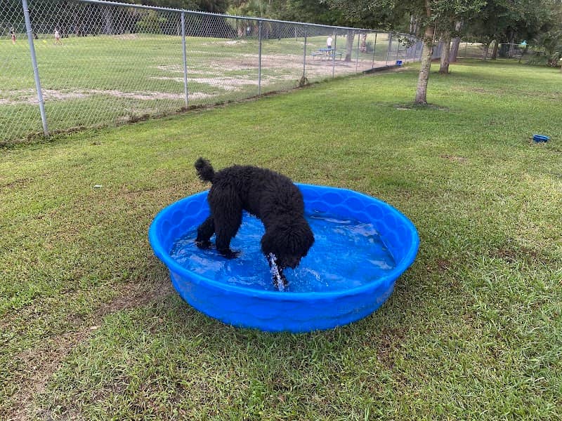 Palm Bay Regional Dog Park - Image 2