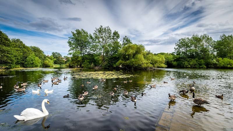 Marden Quarry Nature Reserve - Image 2