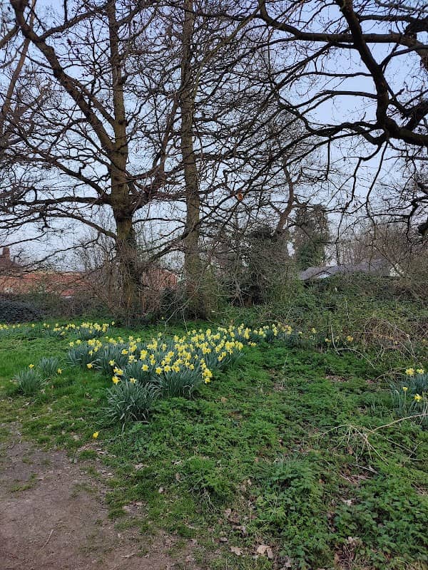 East Park - Image 1