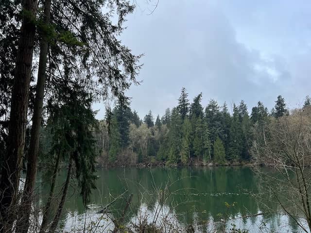 Woodard Bay North Lookout - Image 2