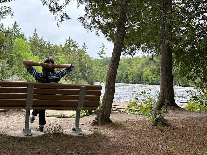 Island at Lower Tahquamenon Falls - Image 2