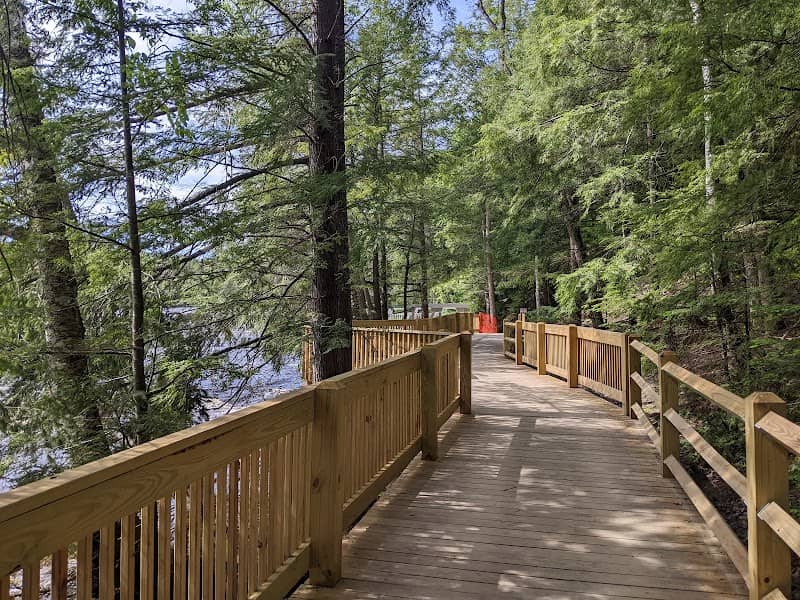 Island at Lower Tahquamenon Falls - Image 1
