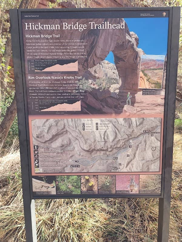 Grand Wash Trailhead - Image 3