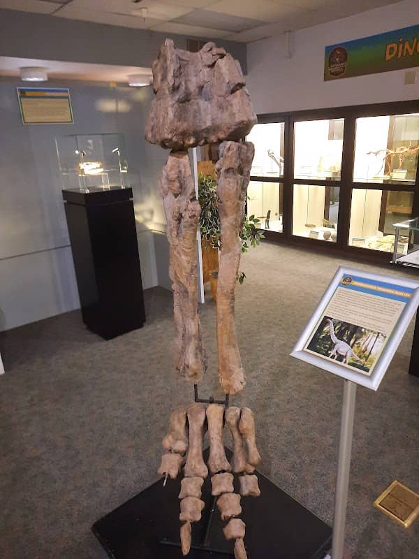 Henry F Hauser Museum - Image 1