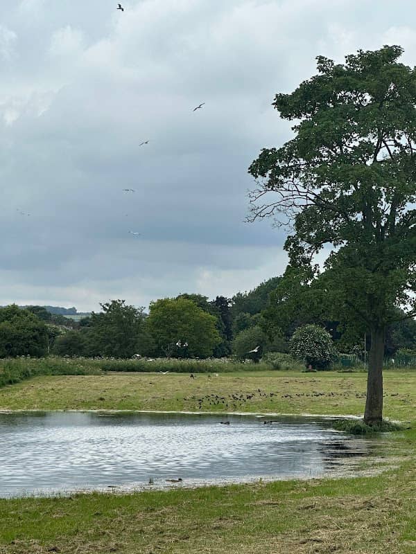 Coronation Meadow - Image 1