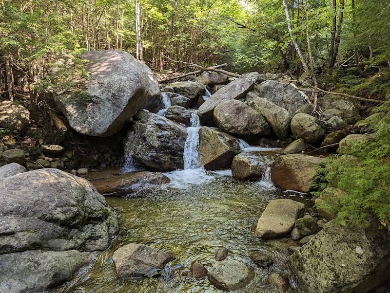 Giant Mountain Wilderness - Image 3