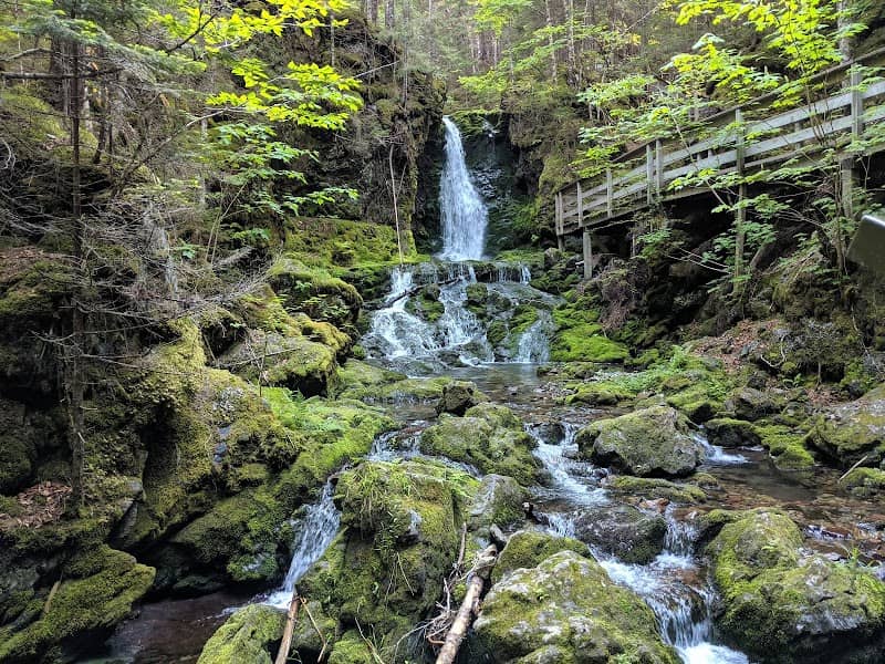 Fundy National Park Of Canada - Image 3