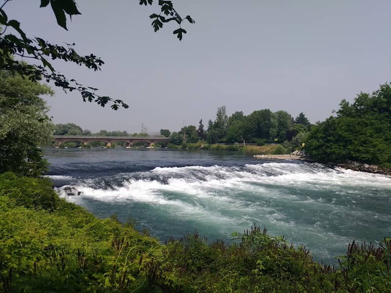 Isolotto Achilli gestito da Num Del Burgh - Image 2