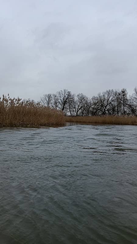 Estuaire de Kłodnica - Image 1